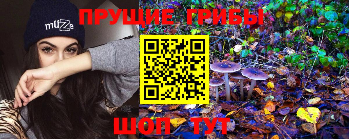 Псилоцибиновые грибы Magic Shrooms  Вход с VPN  Кунгур 